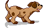 Newshund